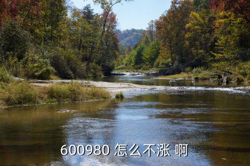 大地傳媒為什么不漲，大地傳媒能借利好走出大行情嗎