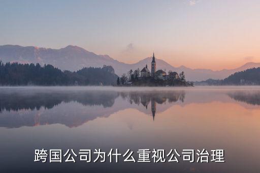 為什么要公司治理，索尼公司為何要進(jìn)行公司治理改革