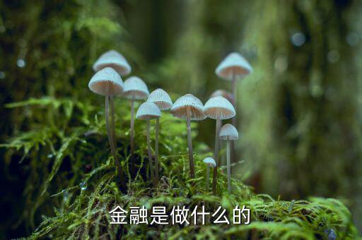 中國29金融是干什么的，金融是干什么的