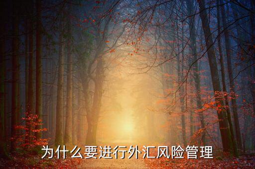 中國(guó)為什么實(shí)行外匯管制，為什么要加入國(guó)家外匯管理局工作
