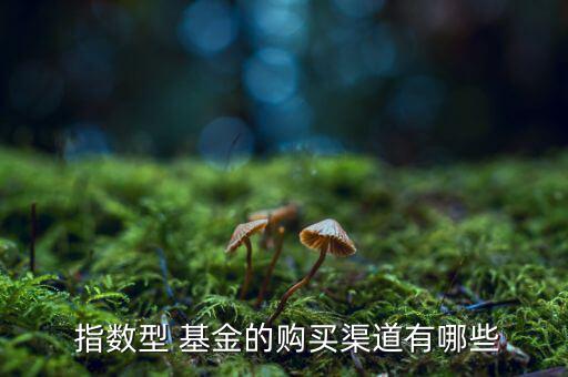  指數(shù)型 基金的購(gòu)買(mǎi)渠道有哪些