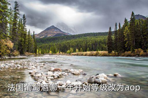 法國(guó)發(fā)生什么改革，法國(guó)葡萄酒哪一年開始等級(jí)改為aop