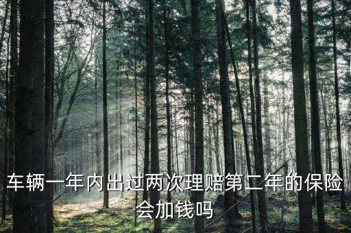 一年中兩次事故理培有什么影響，車輛一年內(nèi)出過(guò)兩次理賠第二年的保險(xiǎn)會(huì)加錢嗎