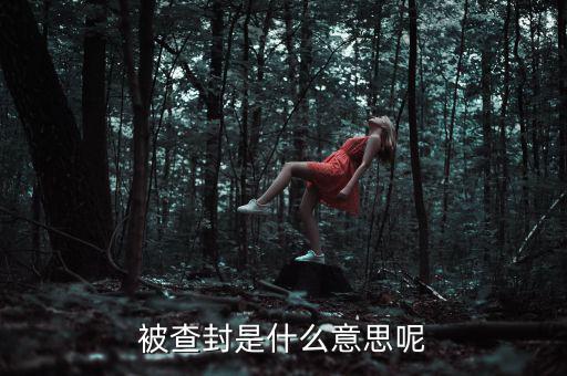 承兌匯票被查封是什么意思，被查封是什么意思呢