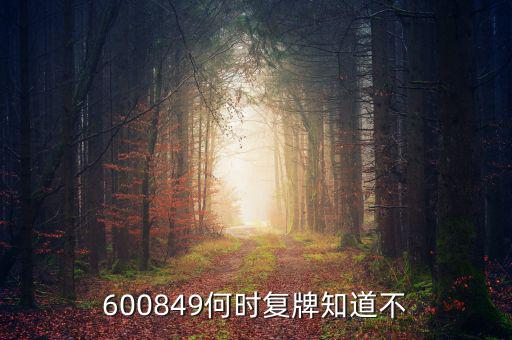 儀電b股什么時候復牌，600849何時復牌知道不