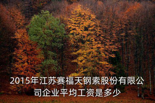 賽福天是什么公司，2015年江蘇賽福天鋼索股份有限公司企業(yè)平均工資是多少