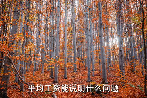 平均工資能說(shuō)明什么問題