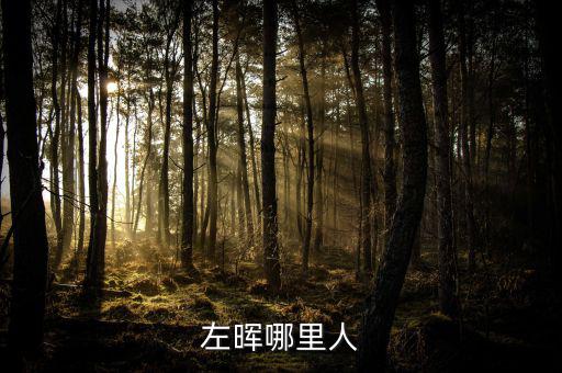 左暉靠什么起家，左暉與左東華什么關(guān)系