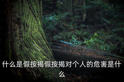 什么是假按揭假按揭對個(gè)人的危害是什么