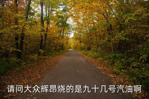 什么車(chē)燒90號(hào)汽油，請(qǐng)問(wèn)大眾輝昂燒的是九十幾號(hào)汽油啊