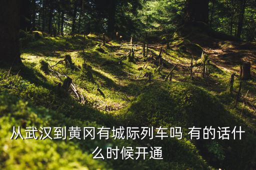 武漢至黃岡城際鐵路什么時(shí)候通車(chē)，從武漢到黃岡有城際列車(chē)嗎 有的話什么時(shí)候開(kāi)通