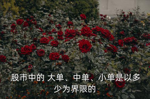  股市中的 大單、中單、小單是以多少為界限的