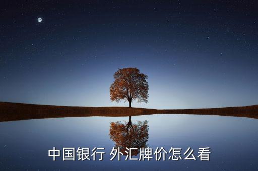 外匯怎么看,中國銀行點擊首頁查詢結售匯按照提示進行買賣