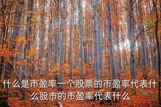 平均市盈率說明什么，什么是市盈率一個(gè)股票的市盈率代表什么股市的市盈率代表什么