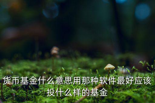 貨幣基金t什么意思，貨幣基金贖回時(shí)間T3是什么意思