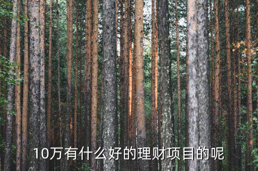 10萬做什么理財好，10萬有什么好的理財項目的呢