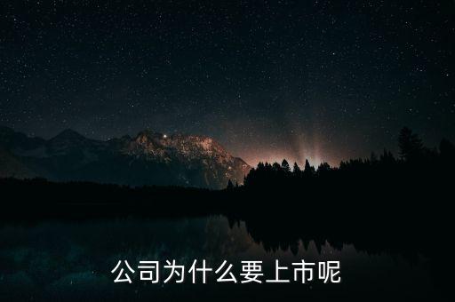公司為什么上市，公司為什么要上市呢