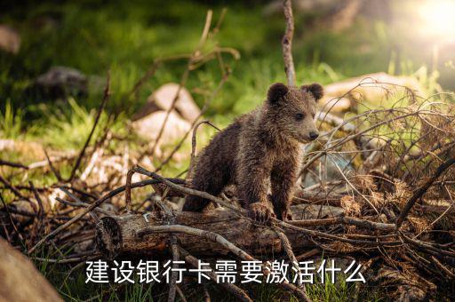 建行信用卡激活需要什么，激活信用卡需要準(zhǔn)備什么東西身份證和戶口本