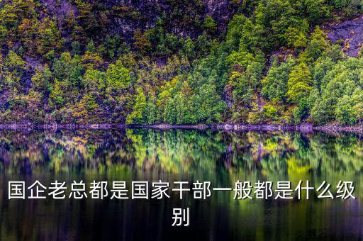 中交地產(chǎn)總經(jīng)理屬于什么級(jí)別干部，國(guó)企老總都是國(guó)家干部一般都是什么級(jí)別