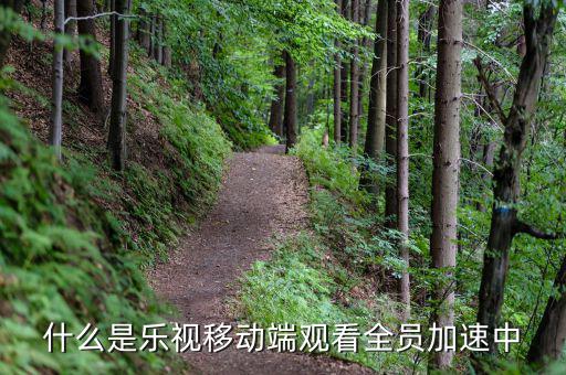 什么是樂(lè)視移動(dòng)端，樂(lè)視移動(dòng)是什么