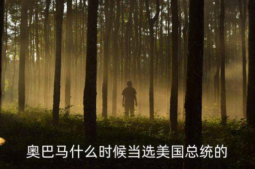 奧巴馬什么時(shí)候當(dāng)選美國(guó)總統(tǒng)的