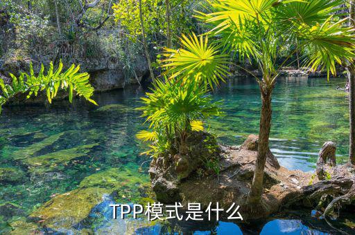 tpp什么時(shí)候生效，TPP文件時(shí)什么東西