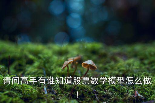 請問高手有誰知道股票數(shù)學模型怎么做!