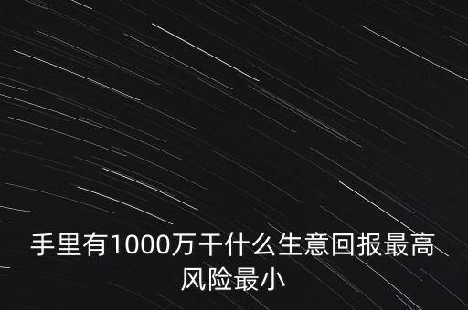 1000萬(wàn)投資什么生意，手里有1000萬(wàn)干什么生意回報(bào)最高風(fēng)險(xiǎn)最小