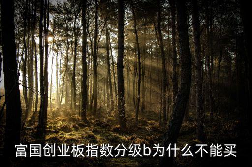 富國創(chuàng)業(yè)板指數(shù)分級(jí)b為什么不能買