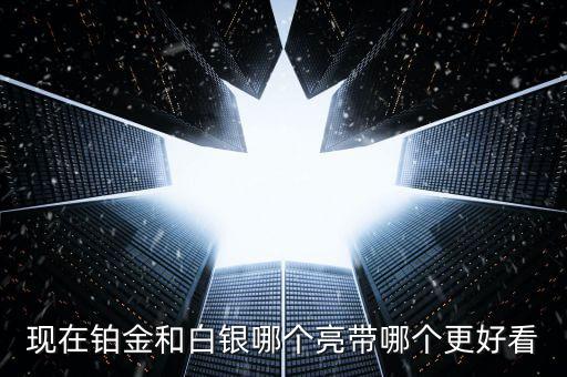 什么白銀最亮，哪種銀子最好