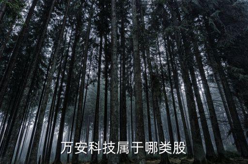 萬(wàn)安科技屬于哪類(lèi)股