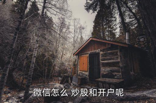  微信怎么 炒股和開(kāi)戶(hù)呢