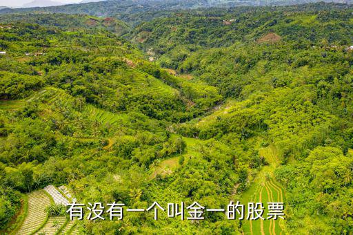 金一文化為什么停牌，金一文化什么時(shí)候復(fù)牌