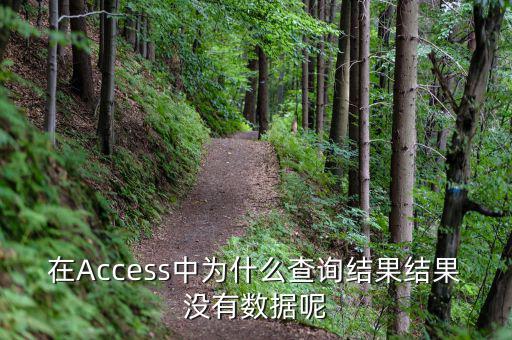 832494為什么沒(méi)有數(shù)據(jù)，在Access中為什么查詢結(jié)果結(jié)果沒(méi)有數(shù)據(jù)呢