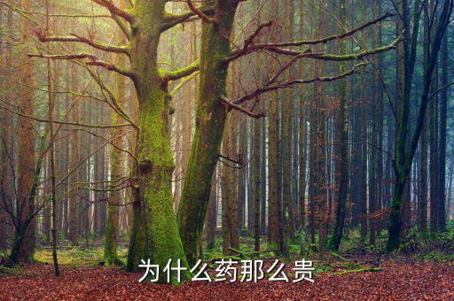 為什么藥價(jià)那么貴，醫(yī)藥費(fèi)為什么那么貴