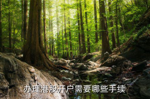 辦理港股開(kāi)戶需要哪些手續(xù)