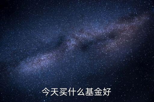 今天買(mǎi)什么基金好