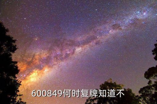 600849何時復牌知道不