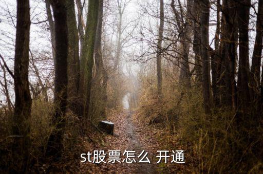同花順怎么開(kāi)通st權(quán)限,同花順開(kāi)戶可以登錄但不能買(mǎi)股票