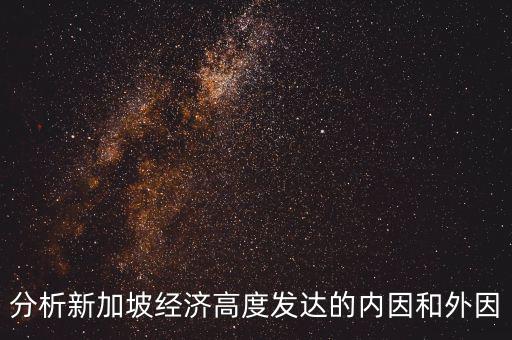 分析新加坡經濟高度發(fā)達的內因和外因