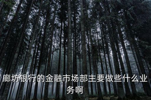 齊飛金融主營什么業(yè)務(wù)，堅固金融都有什么業(yè)務(wù)實力怎么樣