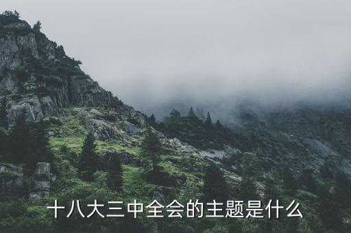 中全會講什么，七屆二中全會的主要內容是什么啊