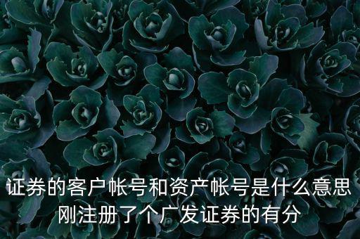 申萬(wàn)宏源資產(chǎn)賬號(hào)是什么，我知道瀘A股東的賬號(hào)怎么查資金賬號(hào)申萬(wàn)宏源