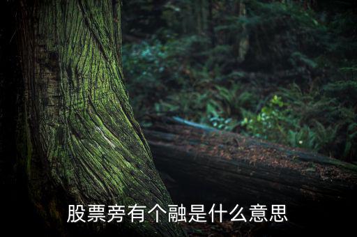 融買融賣是什么意思，股票旁有個融是什么意思