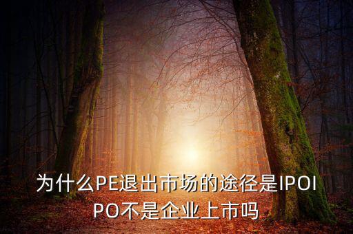 pe為什么要退出，為什么PE退出市場(chǎng)的途徑是IPOIPO不是企業(yè)上市嗎