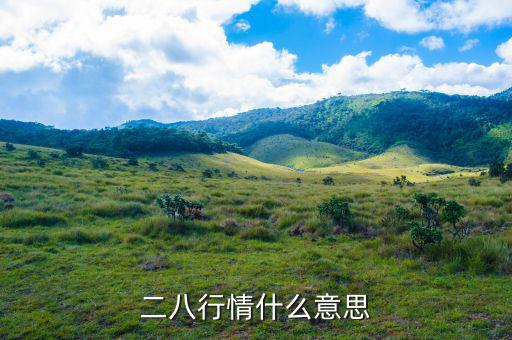 什么是288指數(shù)，股票二八現(xiàn)象是什么意思