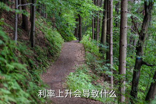 世界利率上升國內(nèi)利率有什么變化，利率上調(diào)對中國經(jīng)濟(jì)的影響