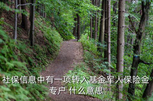 什么是社保轉(zhuǎn)入基金，請(qǐng)問(wèn)一下社保綜合中轉(zhuǎn)入基金是什么呢不明白里面的基金是怎么回事