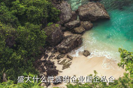 上海中盛集團(tuán)是什么性質(zhì)的企業(yè)，集團(tuán)是什么性質(zhì)的公司