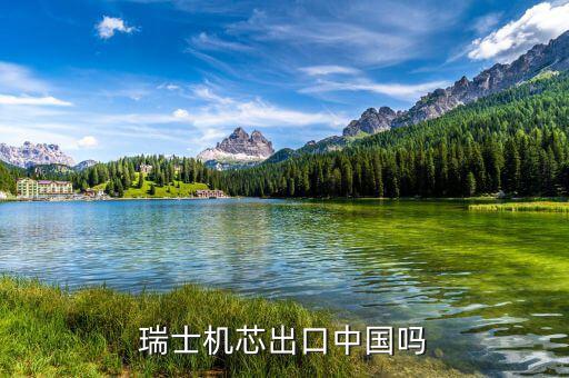 瑞士以什么出口為主，瑞士主要運輸方式是什么